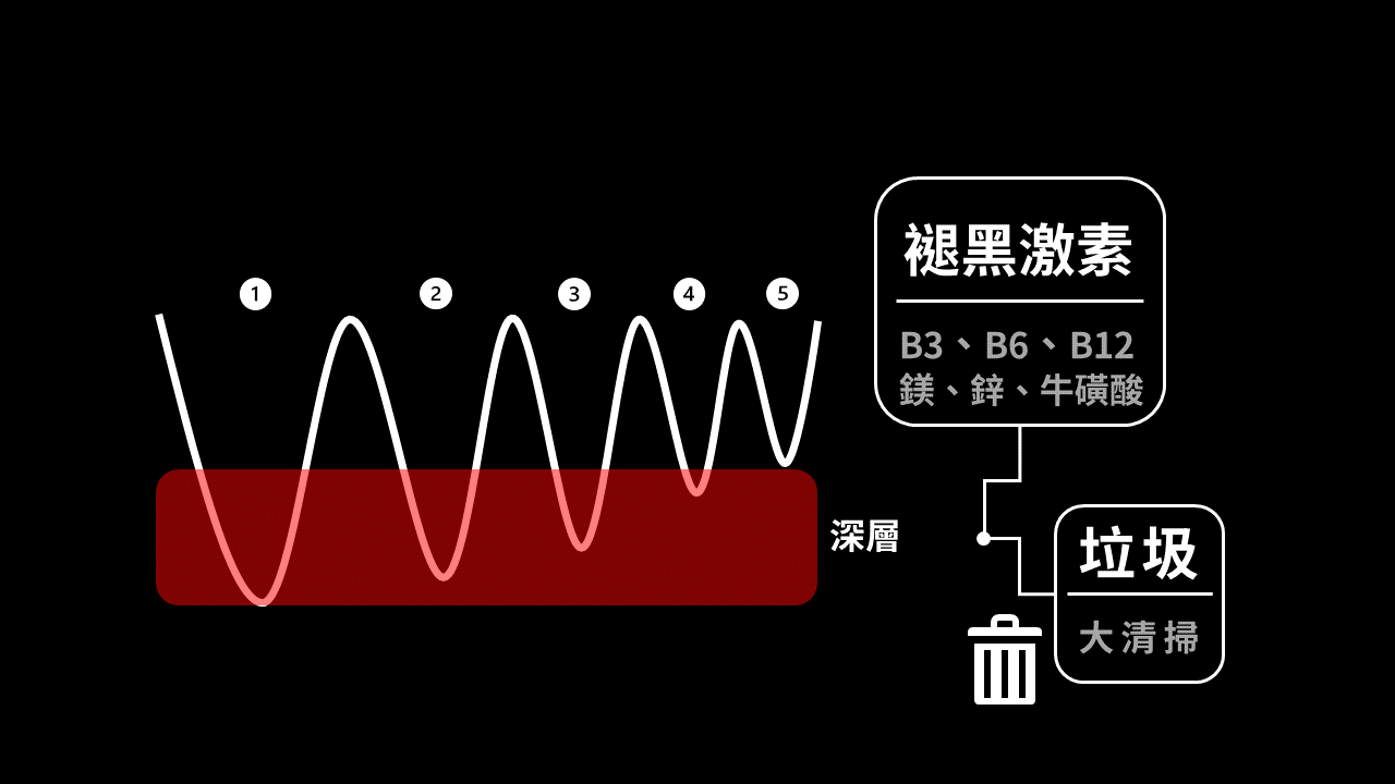 褪黑激素