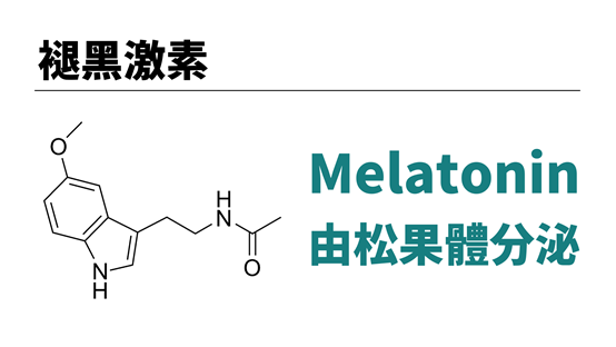 松果體是分泌褪黑激素的器官